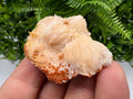 Red Vanadinite on Barite from Marocco,crystal minerals Speciment cluster Vanadinite crystal Vanadinite Geology Vanadinite cluster minerals