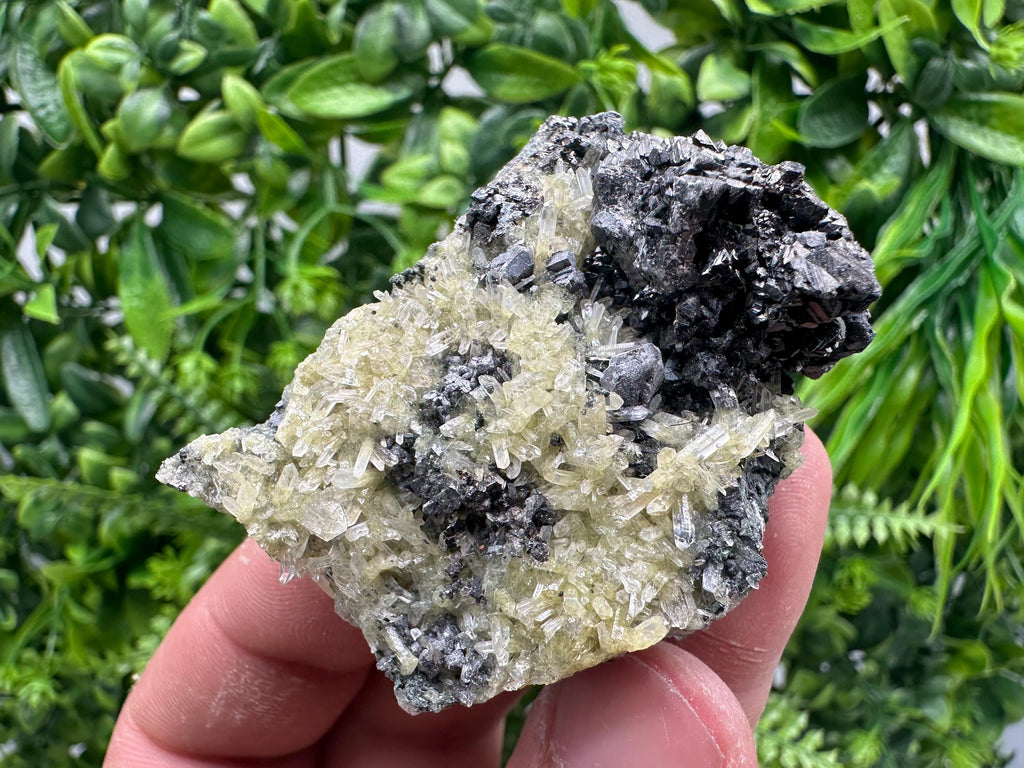 Sphalerite Galena on Quartz with Epidote, Bulgaria Mineral Specimen
