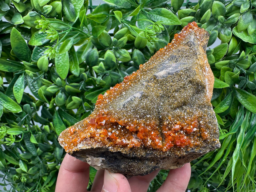 VERY Rare red Vanadinite on Barite whit Goethite from Marocco,crystal minerals Speciment cluster Vanadinite crystal Vanadinite Geology Vanad