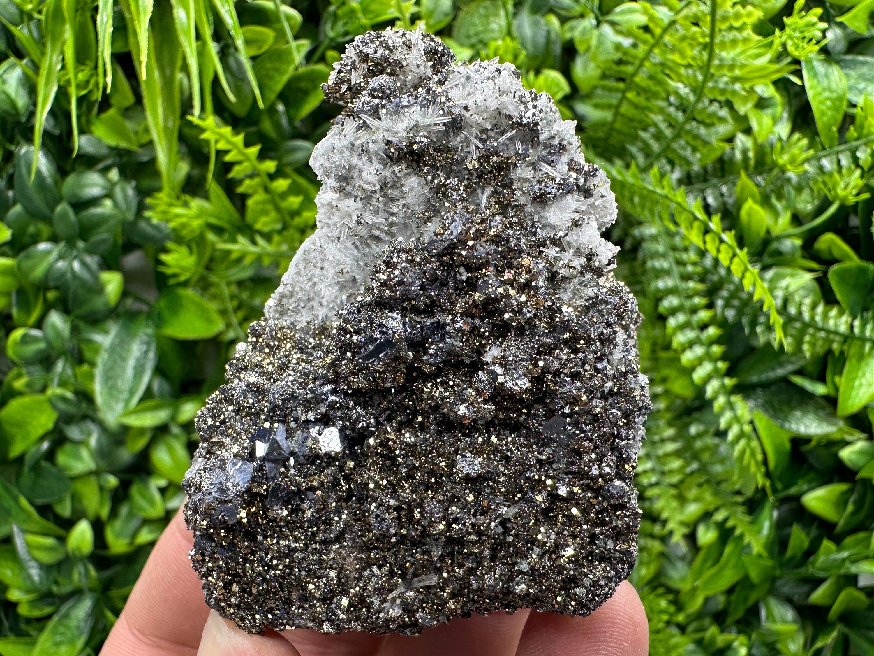 Galena Pyrite on Quartz Crystal Cluster - Borieva Mine, Bulgaria