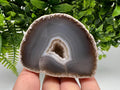 Blue Agate Druzy Geode, Natural Quartz Crystal (7.5/5.5/5.5 cm)