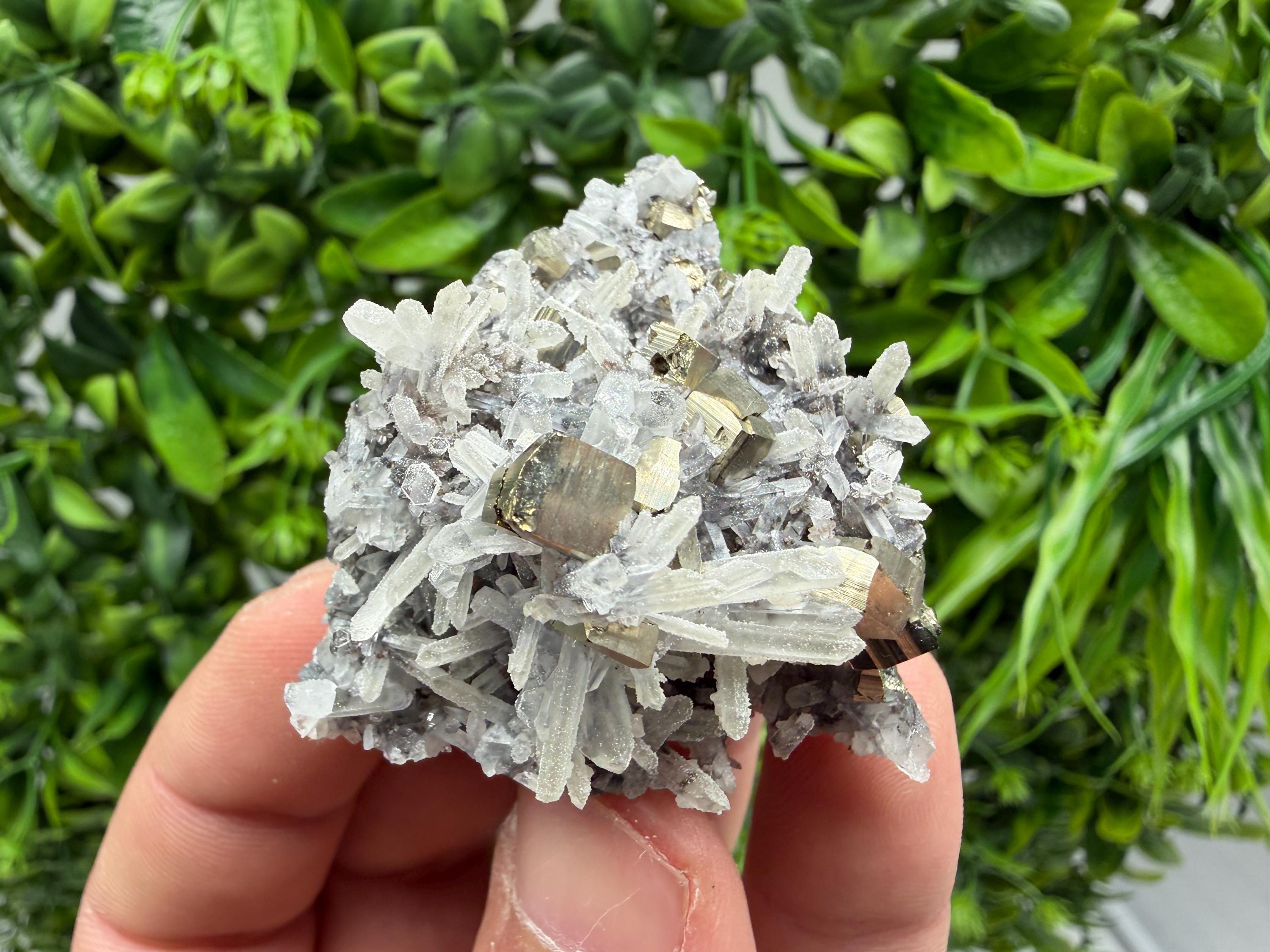Pyrite Sphalerite Quartz  Mineral Specimen, Krushev dol Mine