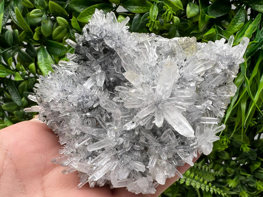 Stunning Transparent Quartz,from Borieva mine,natural collection mineral specimen rare crystal,home decor crystal,quartz cluster,Quartz,gift