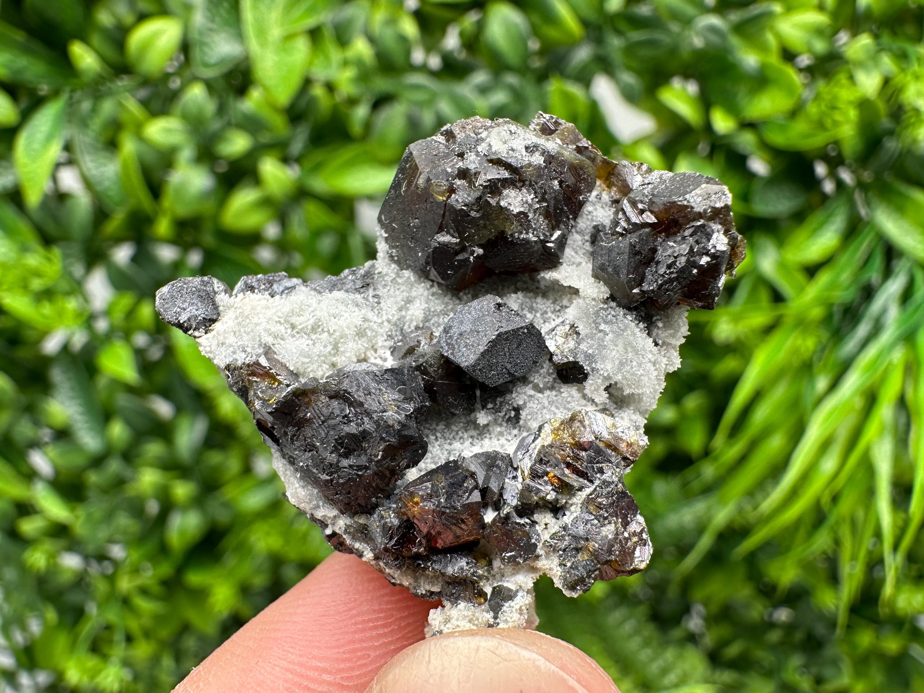 Cleiophane Sphalerite Gem: Rare Transparent Yellow Crystal Mineral