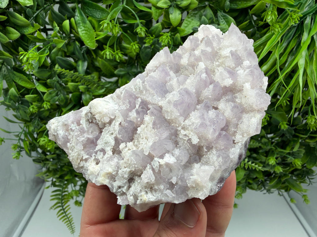 Chala Mine Amethyst Phantom Cluster, Bulgaria Crystal Specimen