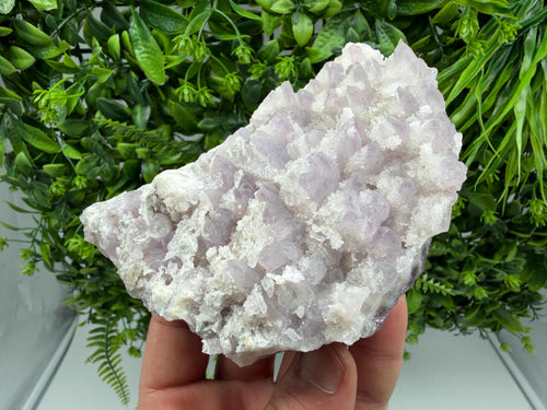 Chala Mine Amethyst Phantom Cluster, Bulgaria Crystal Specimen