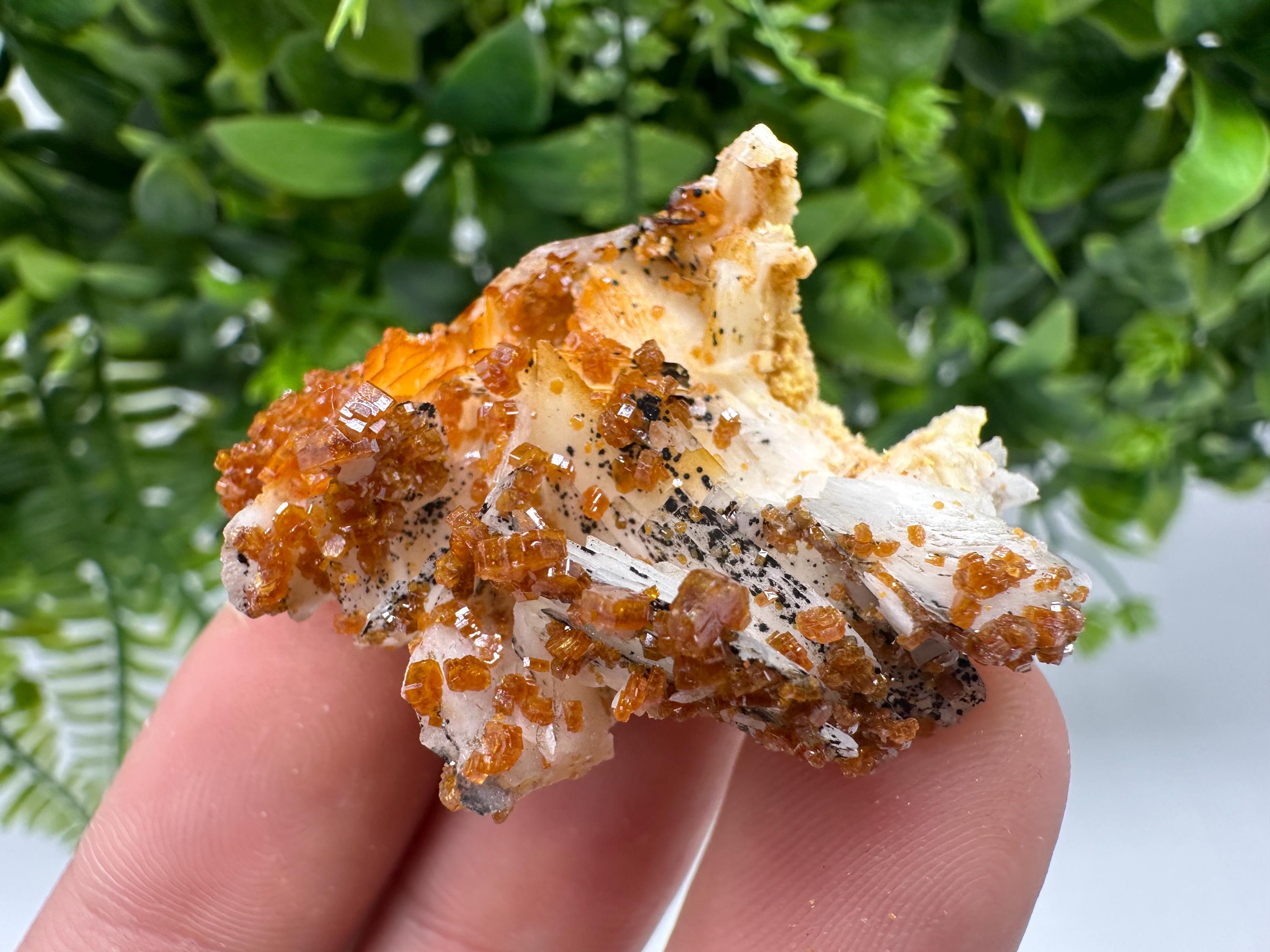 Red Vanadinite on Barite from Marocco,crystal minerals Speciment cluster Vanadinite crystal Vanadinite Geology Vanadinite cluster minerals