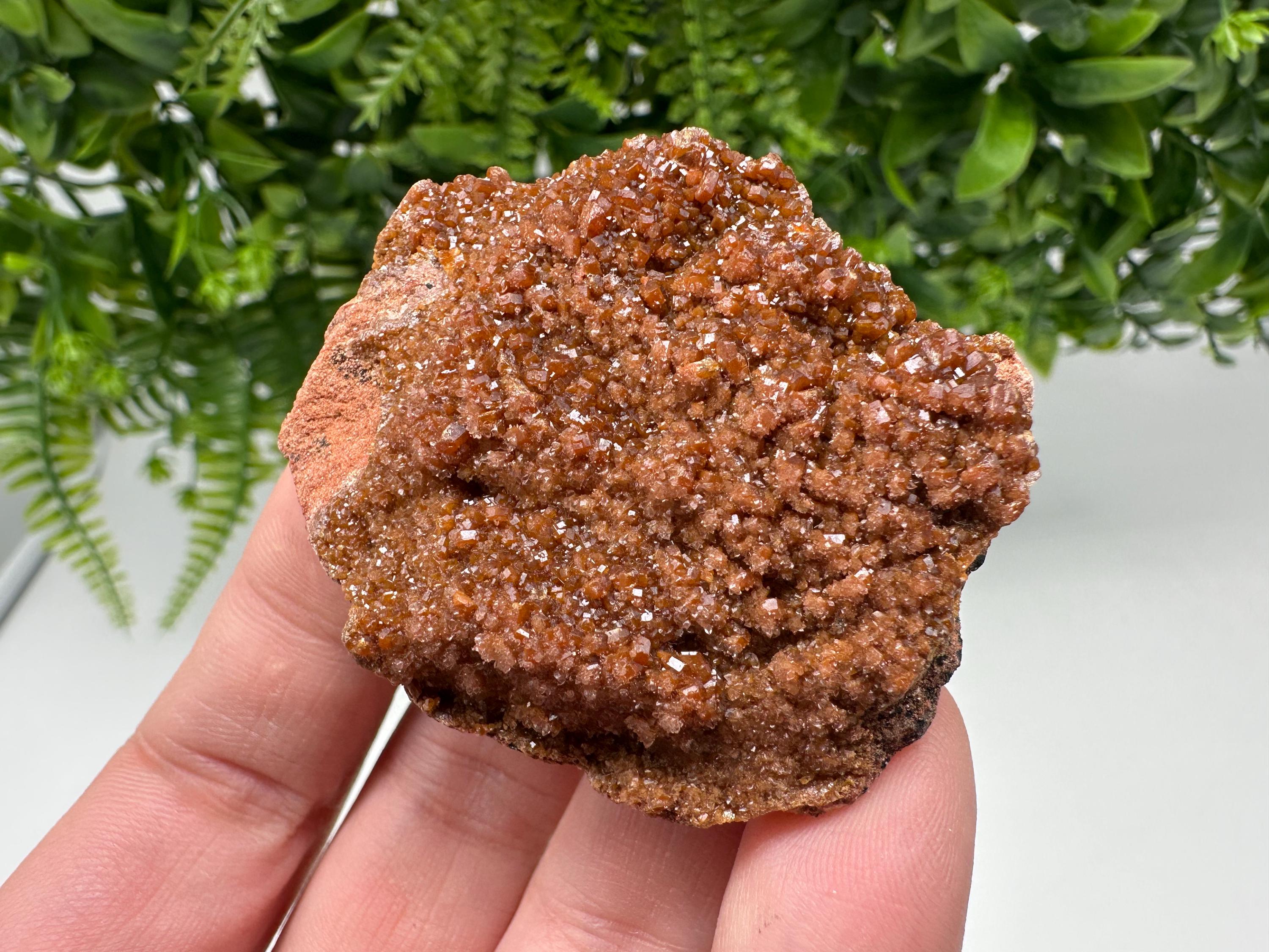 Red Vanadinite on Matrix from Marocco,crystal minerals Speciment cluster Vanadinite crystal Vanadinite Geology Vanadinite cluster minerals