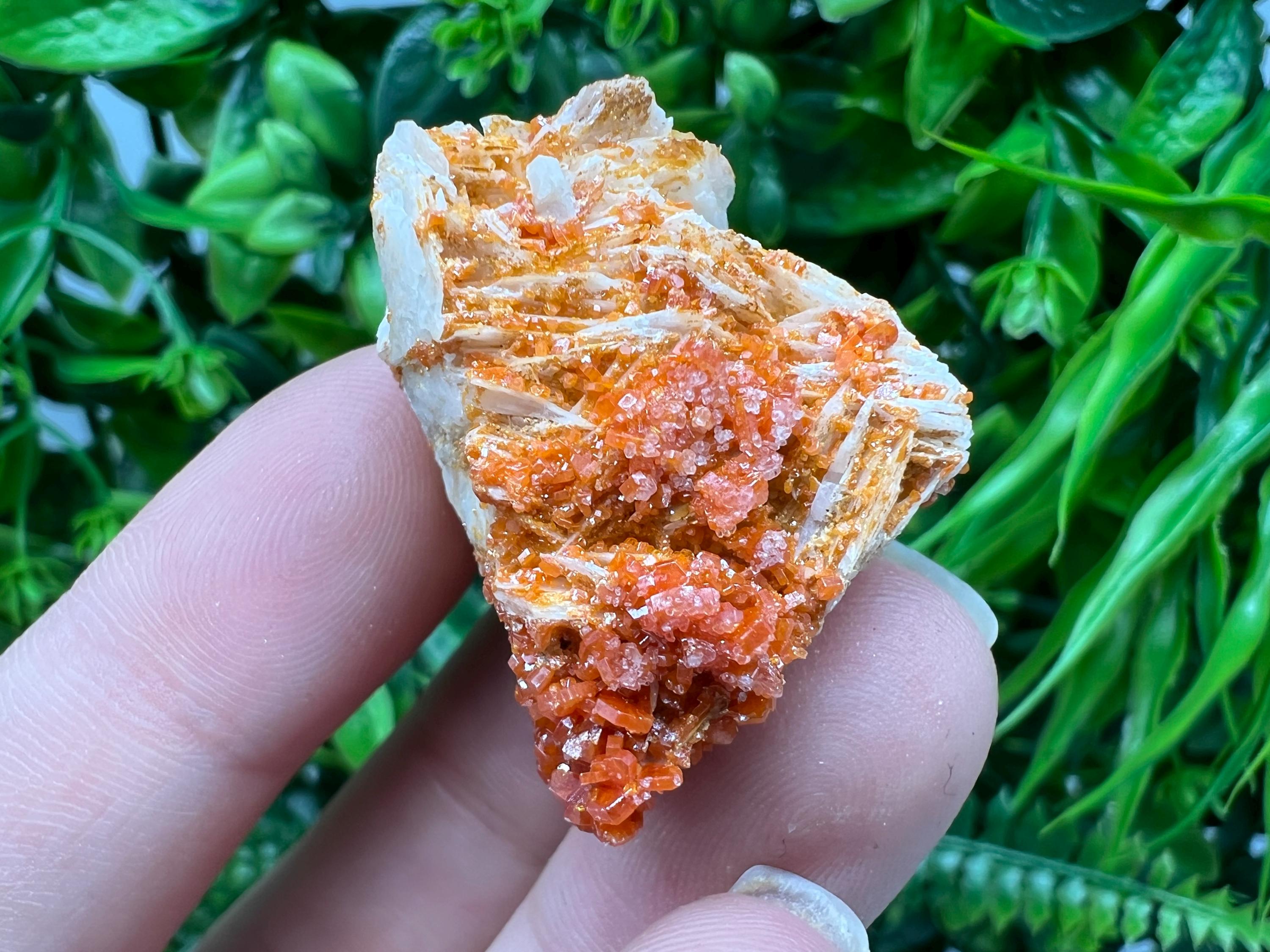 Red Vanadinite on Barite from Marocco,crystal minerals Speciment cluster Vanadinite crystal Vanadinite Geology Vanadinite cluster minerals