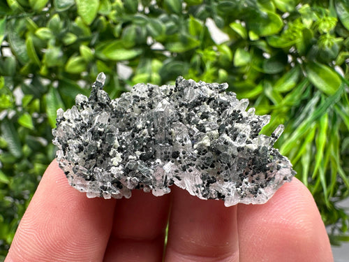 Chlorite Quartz Mineral Specimen, Borieva Mine, Bulgaria