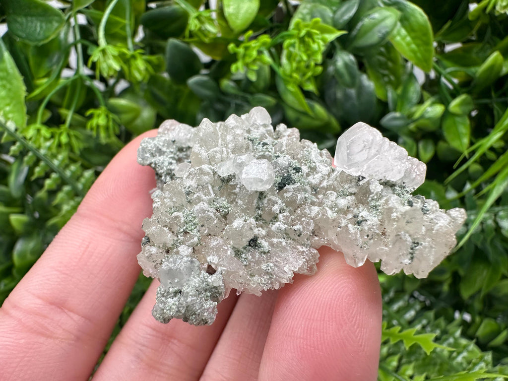 Transparent Quartz on Chlorite Matrix, Madan Bulgaria Mineral Specimen