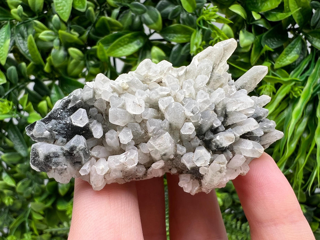 Stunning Transparent Quartz,from Borieva mine,natural collection mineral specimen rare crystal,home decor crystal,quartz cluster,Quartz,gift