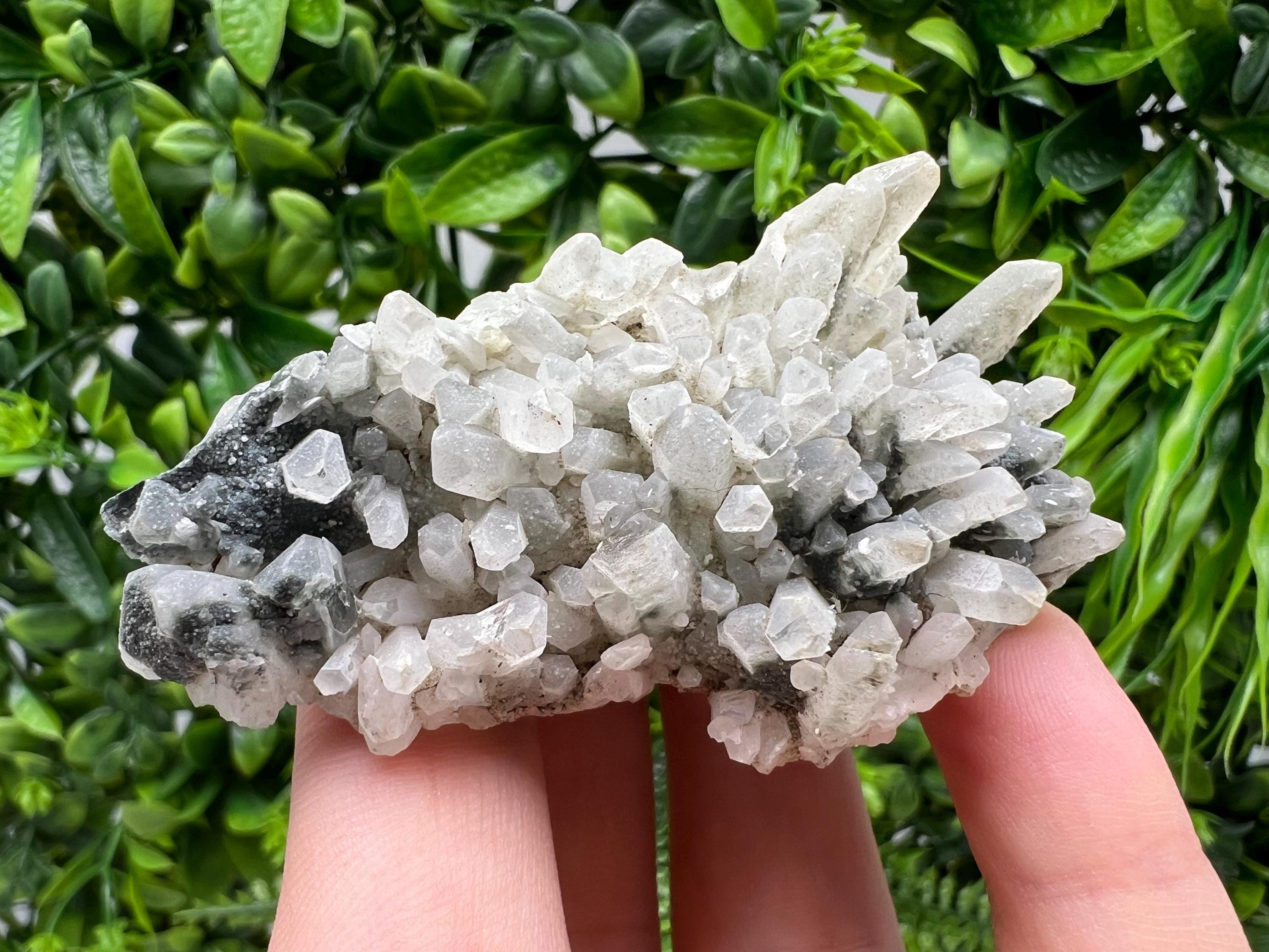 Stunning Transparent Quartz,from Borieva mine,natural collection mineral specimen rare crystal,home decor crystal,quartz cluster,Quartz,gift