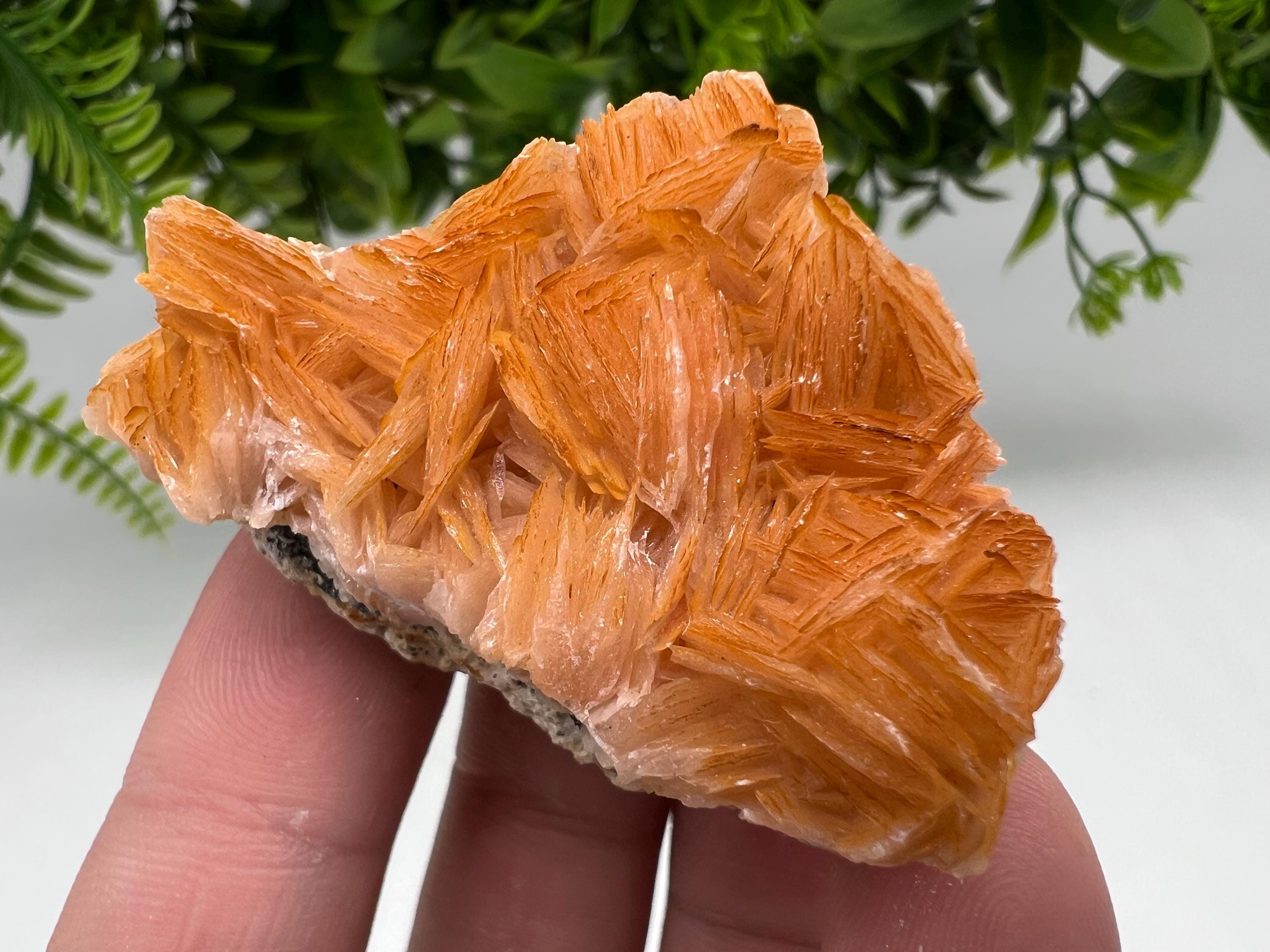 Wonderful Baryte with Cerussite on Galena from Morocco,Crystal, Mineral,Specimen,Cluster,Crystals,Barite Crystal,Cerussite Crystal,Specimen