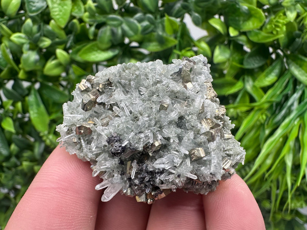Pyrite on Green Quartz, Bulgaria Mineral Specimen