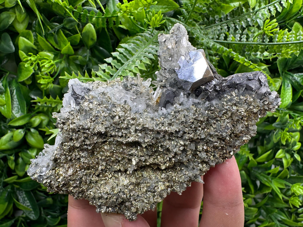 Galena with Quartz on Pyrite, Borieva Mine Mineral Specimen
