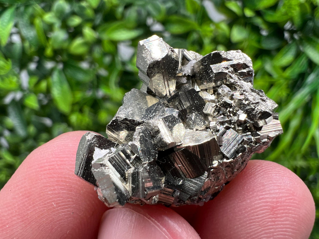 Golden Pyrite,Sphalerite from 9th September mine,Madan,Bulgaria,natural,collectible mineral specimen,home decor crystal,Pyrite cluster,