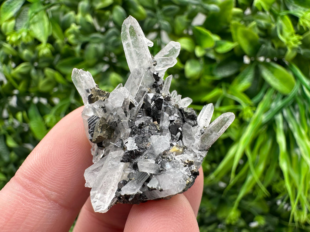 Wonderful Sphalerite Chalcopyrite on  Quartz whit Galena feom 9 th September mine,Bulgaria,natural,collection mineral specimen,gift