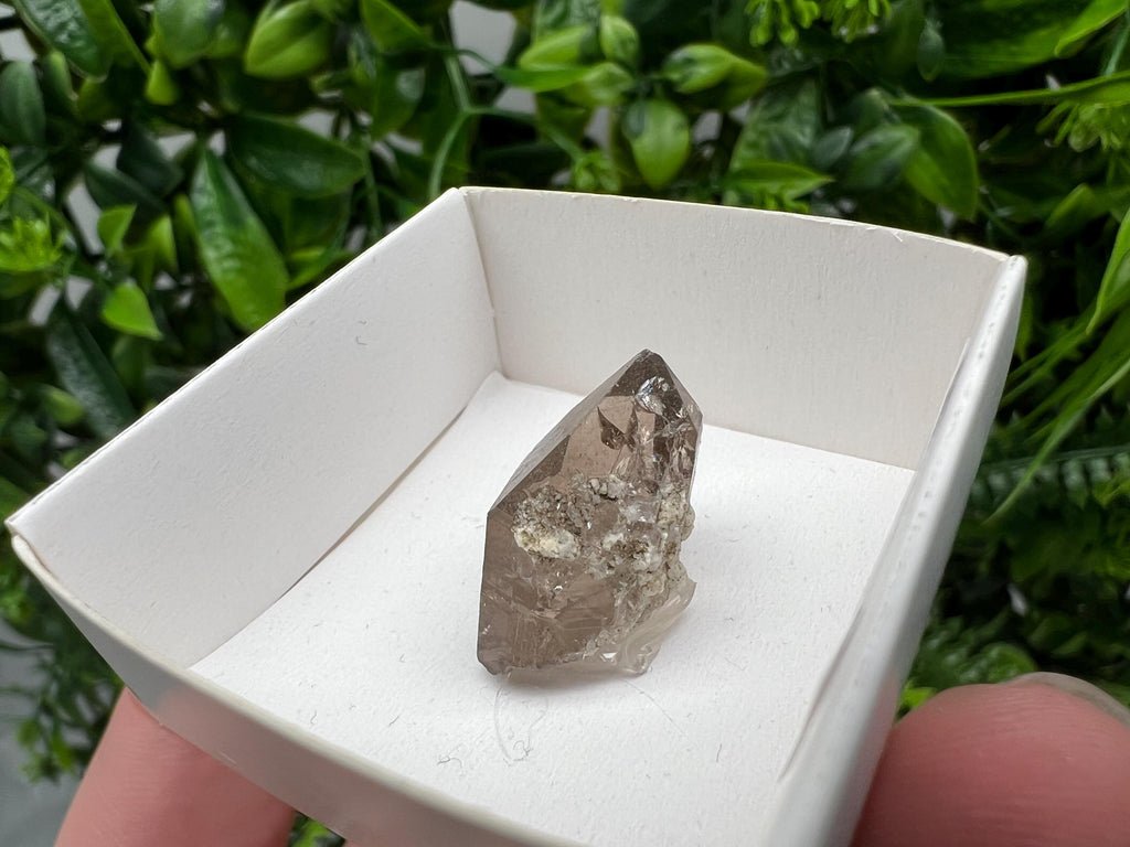 Rare Fedenstock Smoky Quartz Point, Swiss Mineral Specimen (20MM)