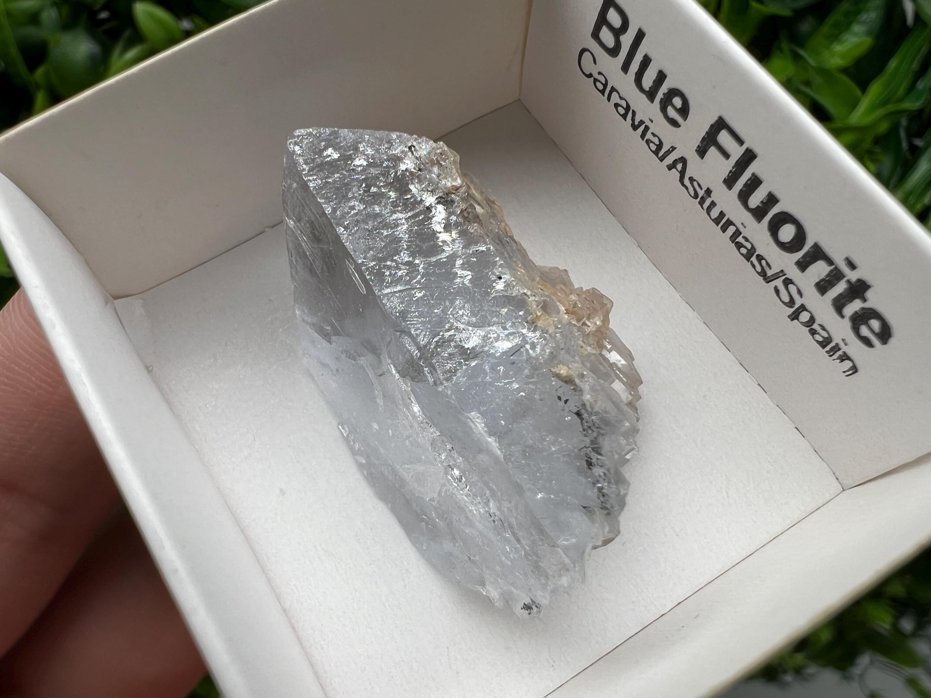 Blue Fluorite Mineral Specimen: Spain Collection (3.5/2.5cm)