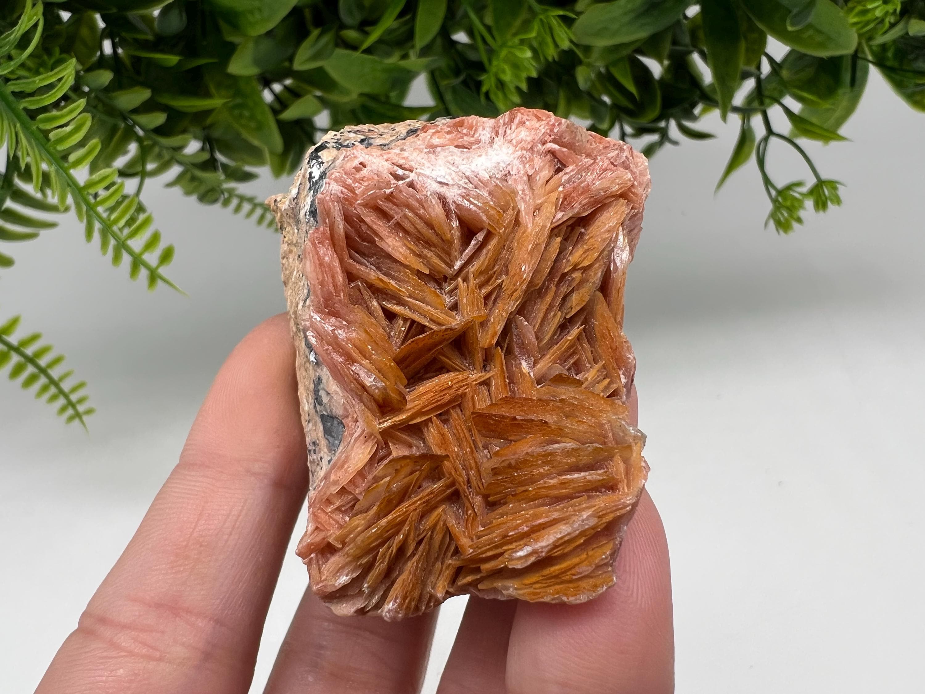 Moroccan Baryte Cluster with Cerussite on Galena