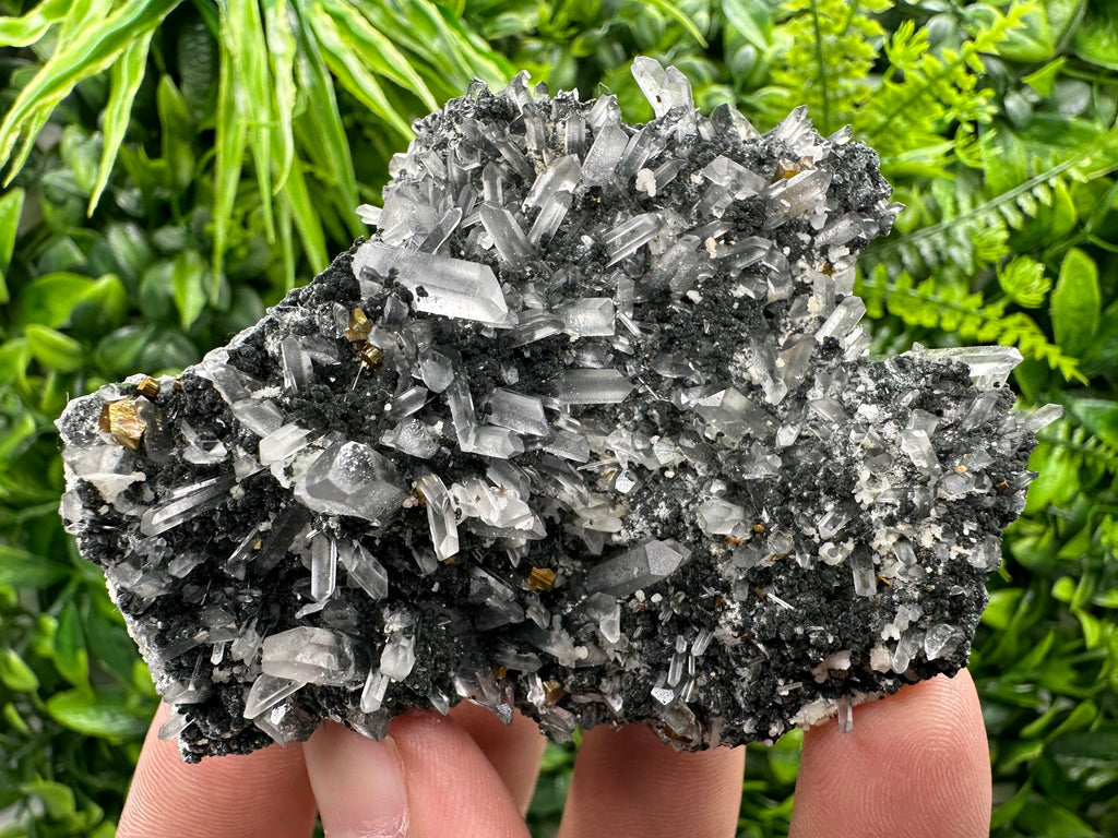 Pyrite on Quartz with Chlorite: Borieva Mine Crystal Decor