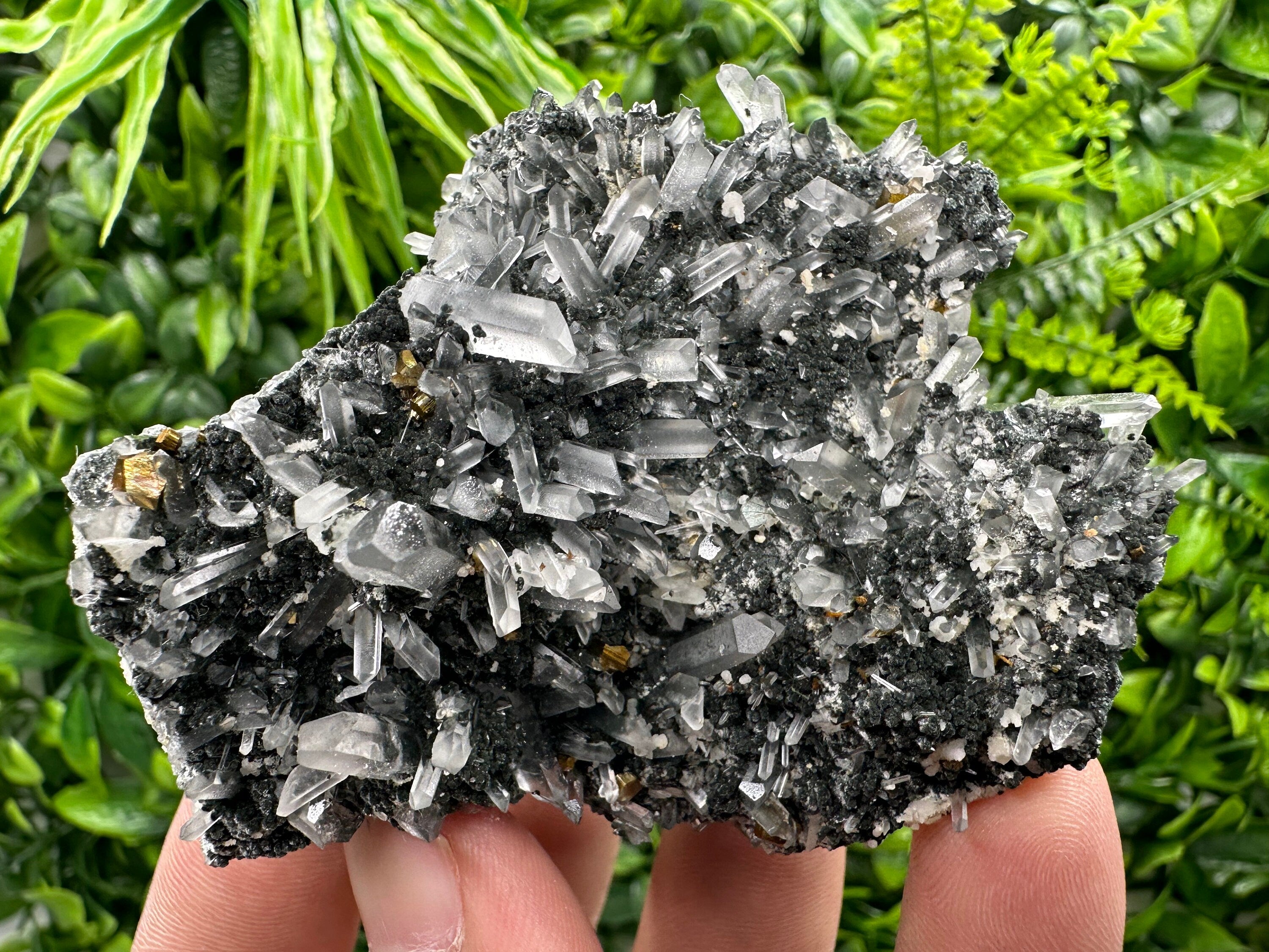 Pyrite on Quartz with Chlorite: Borieva Mine Crystal Decor