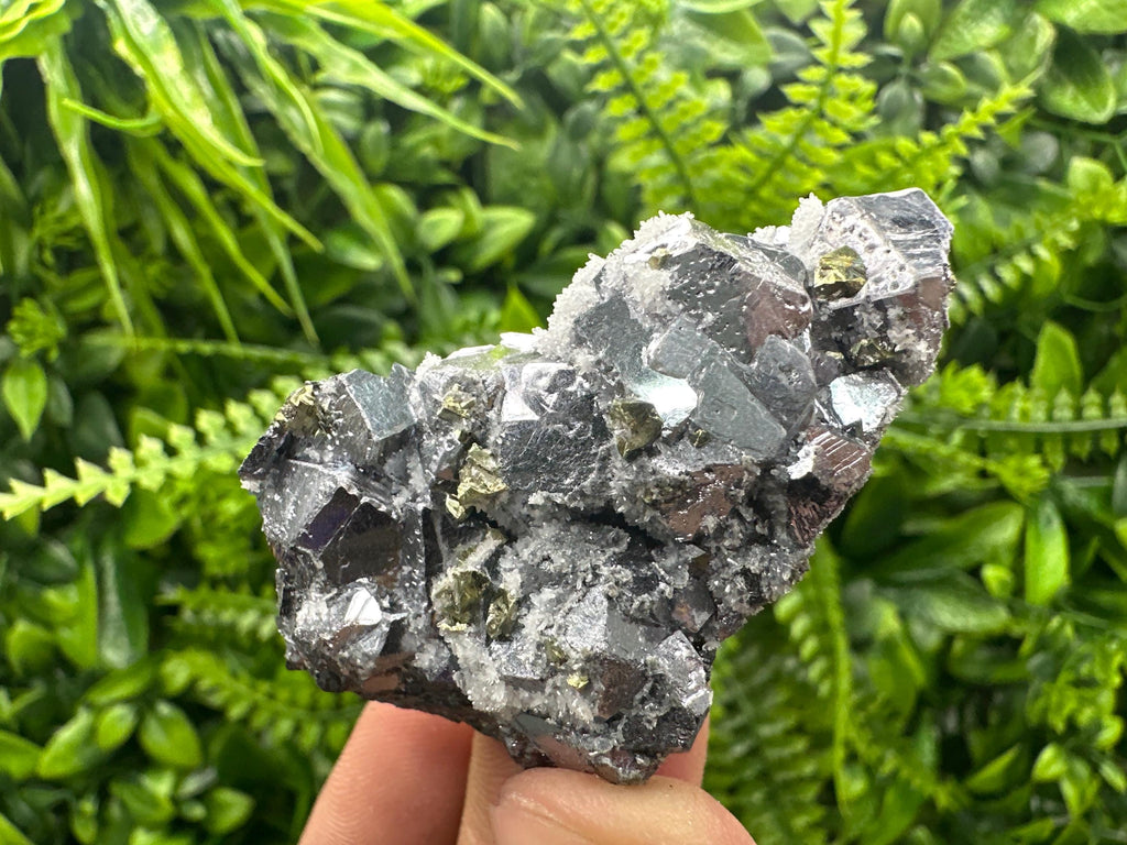 Galena with Chalcopyrite and Quartz, Krushev dol Mineral Specimen