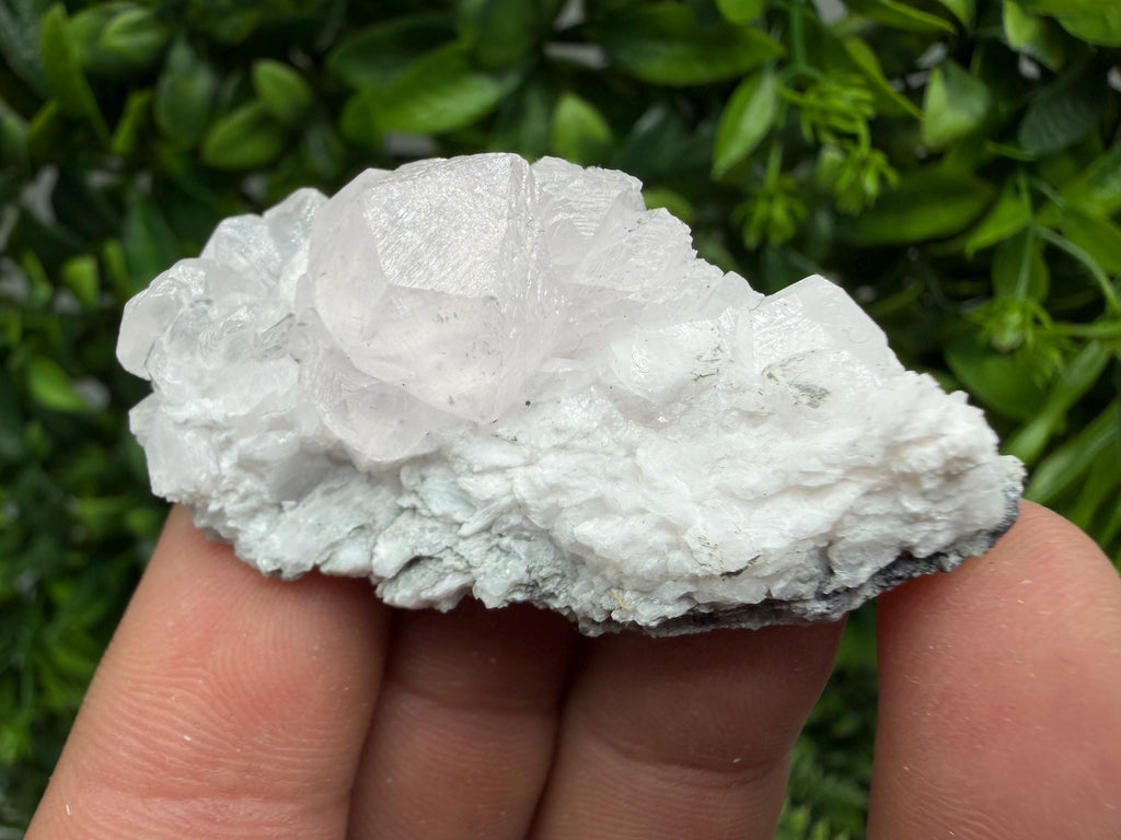 Mangano Calcite with Galena, Borieva Mine, Bulgaria