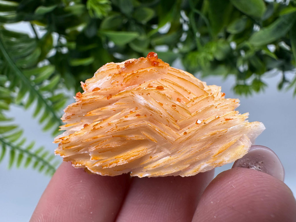 Red Vanadinite on Barite Cluster, Moroccan Crystal Specimen