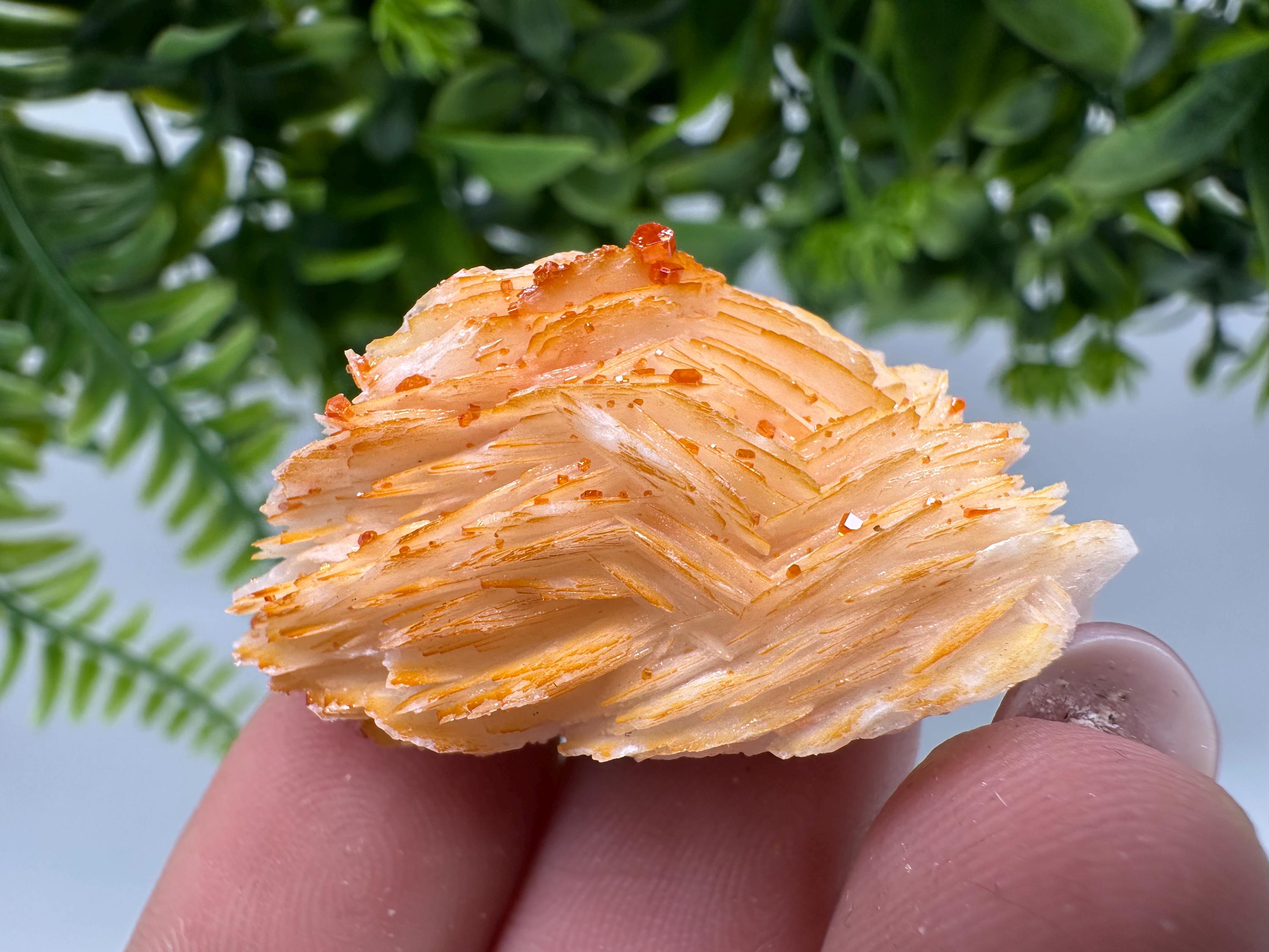 Red Vanadinite on Barite Cluster, Moroccan Crystal Specimen