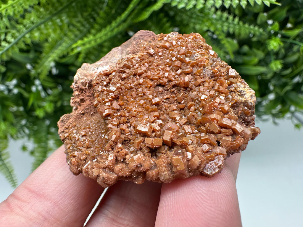 Red Vanadinite on Matrix from Marocco,crystal minerals Speciment cluster Vanadinite crystal Vanadinite Geology Vanadinite cluster minerals