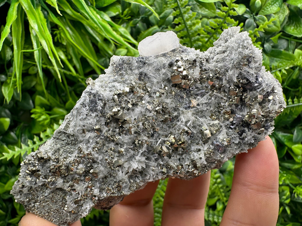 Pyrite on Quartz Specimen: Borieva Mine Bulgaria, Home Decor
