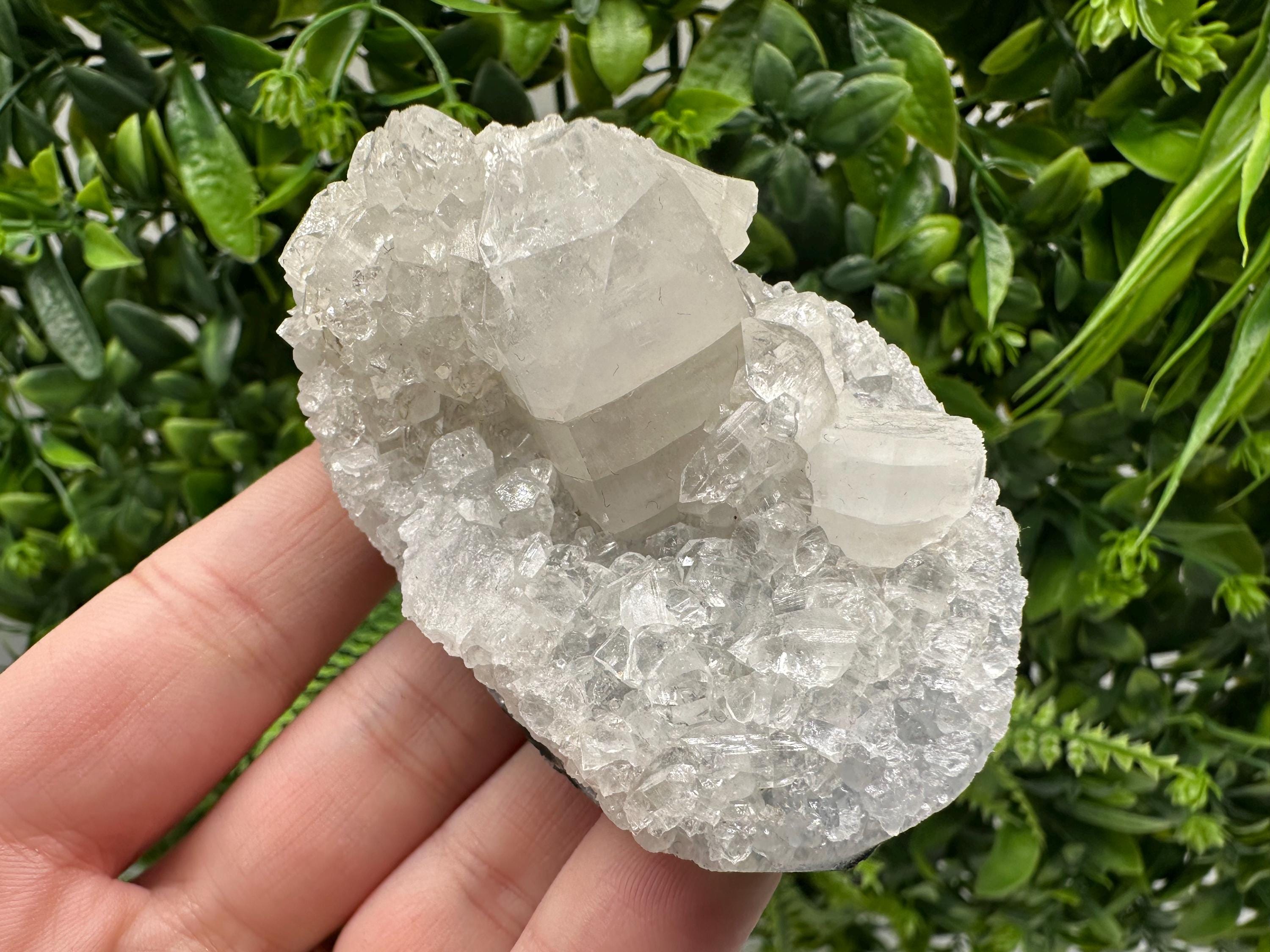 Apophyllite on Chalcedony Specimen: Transparent Crystal, India Minerals