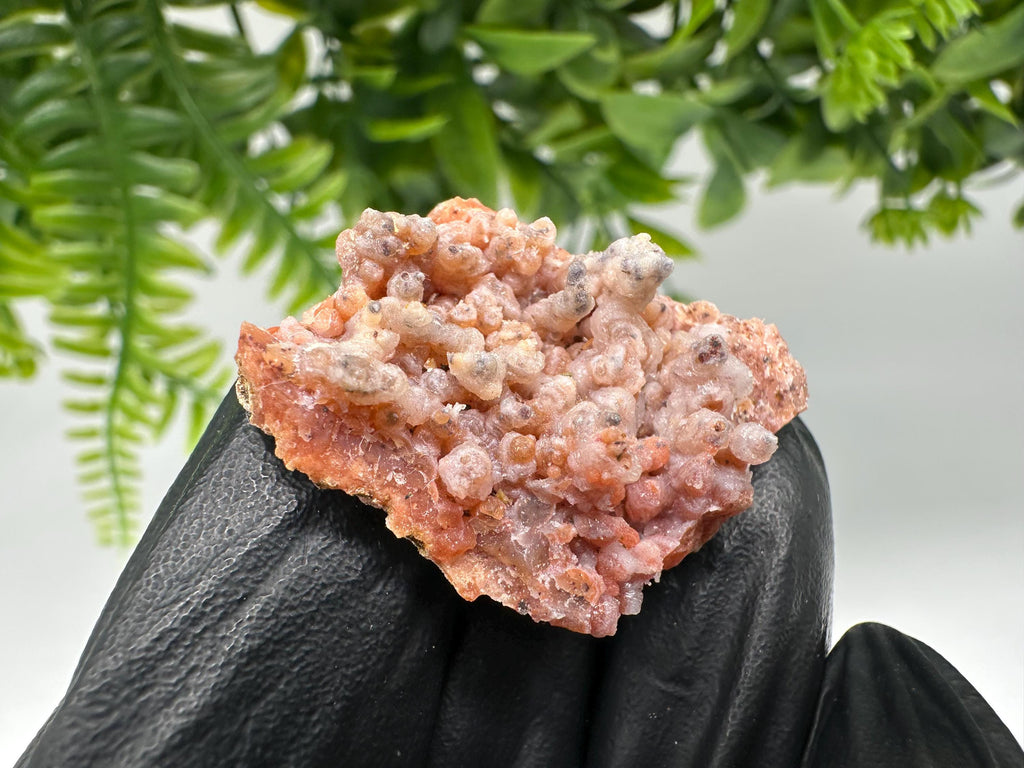 Stunning Red Chalcedony from Morocco,Morocco Minerals,Crystals,rare red Chalcedony,Red Crystal,Mineral Specimen,red minerals,souvenir gift