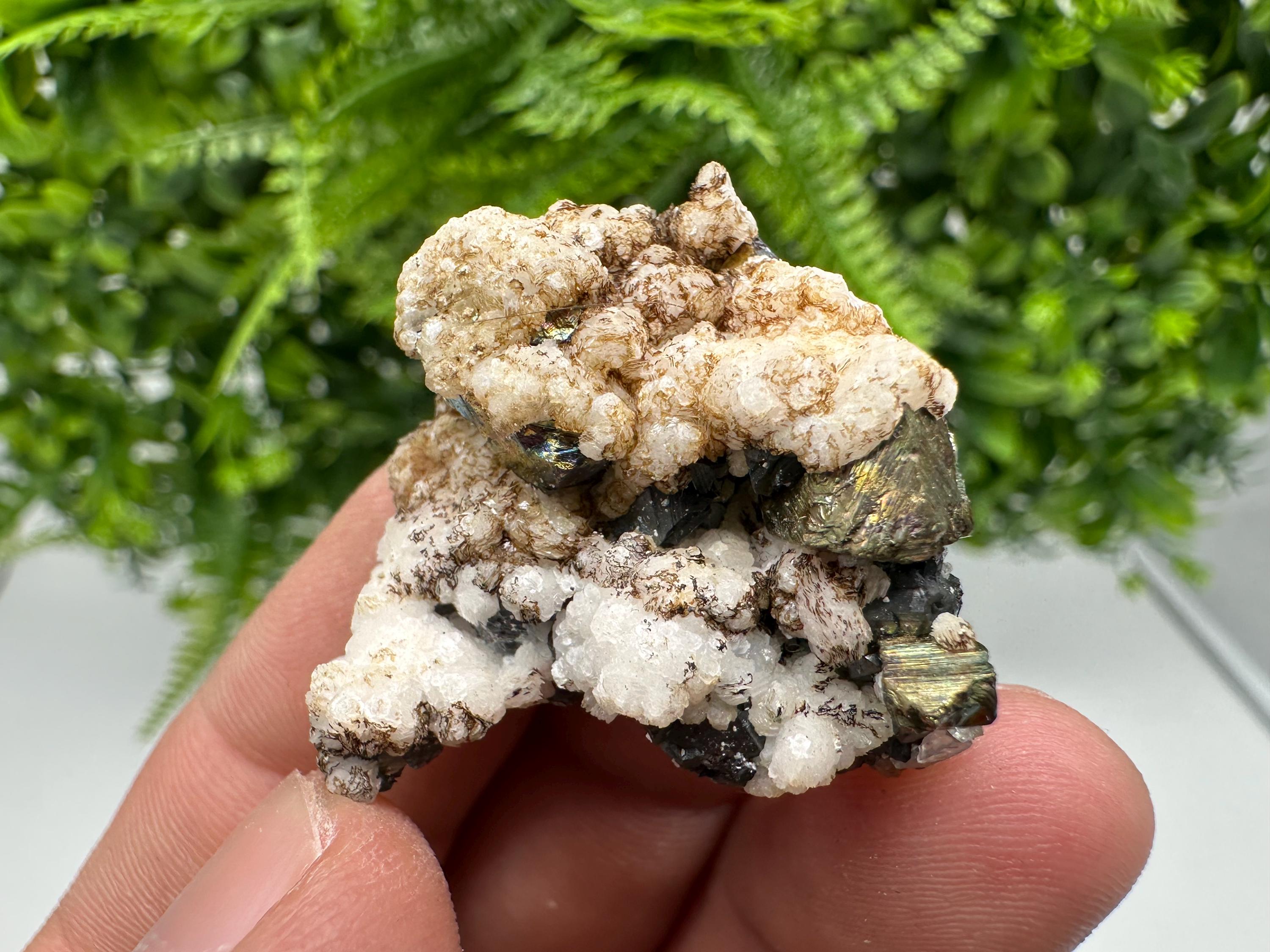 Calcite on Spinel Galena, Krushev dol Mine, Bulgaria
