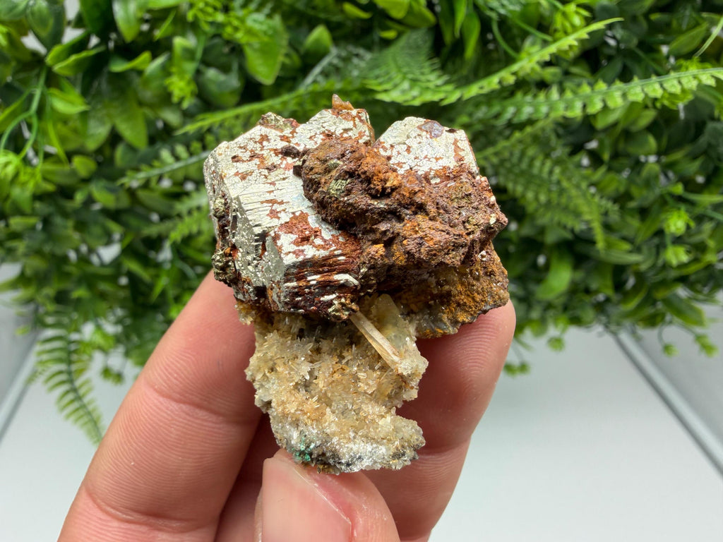 Rainbow Pyrite with Quartz, Borieva Bulgaria Mineral Specimen