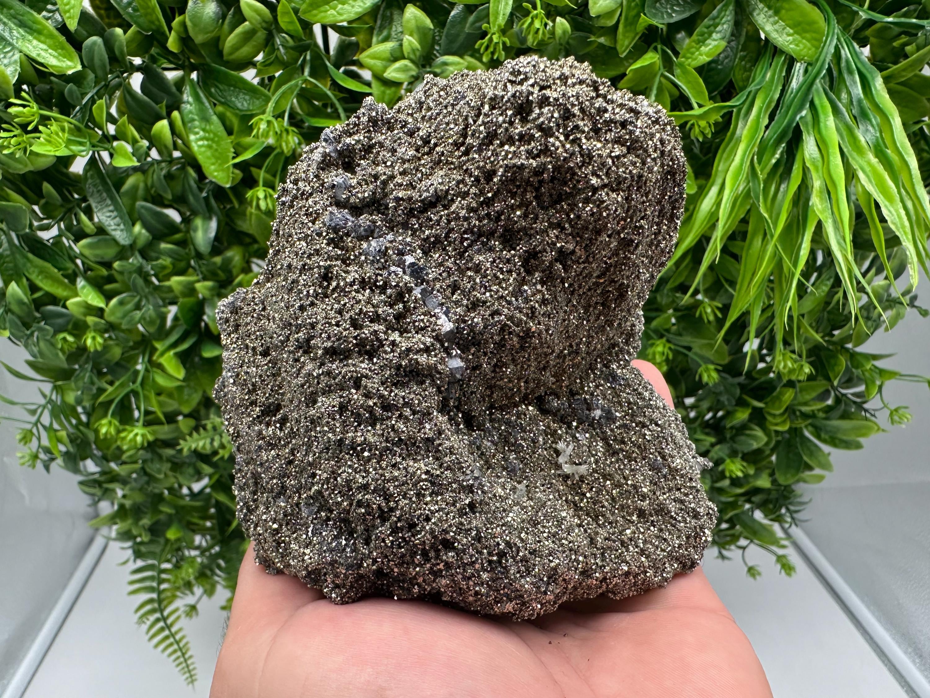 Mirror Galena Pyrite Specimen, Borieva Mine, Bulgaria