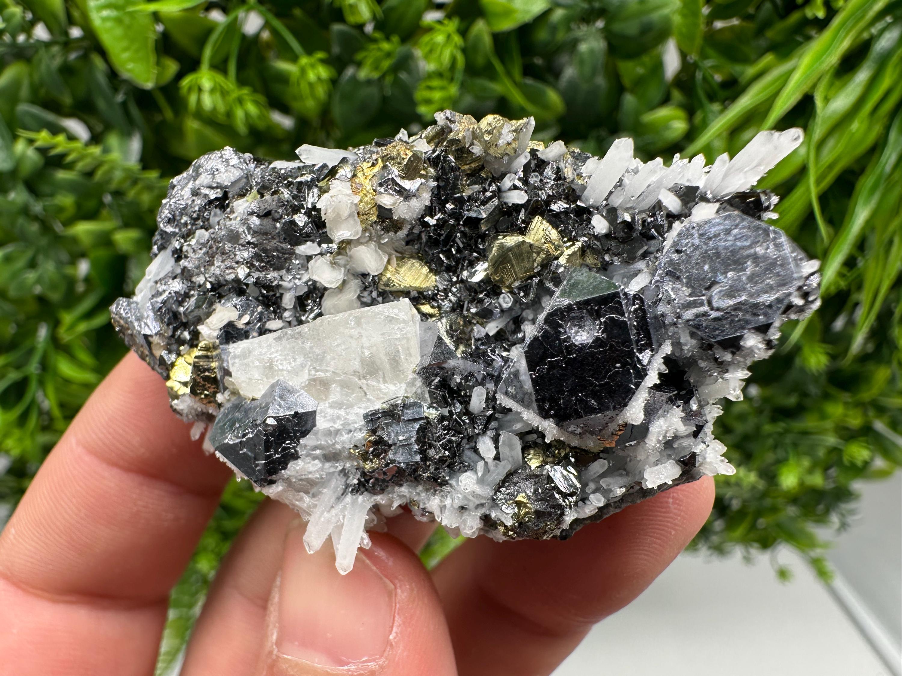 Rare Galena Sphalerite Pyrite Specimen, Krushev dol Mine, Bulgaria