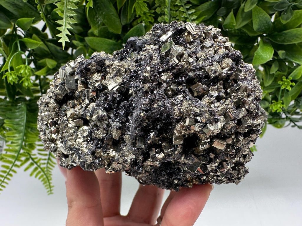 Pyrite on Green Quartz: Rare Mineral Specimen, Borieva Mine