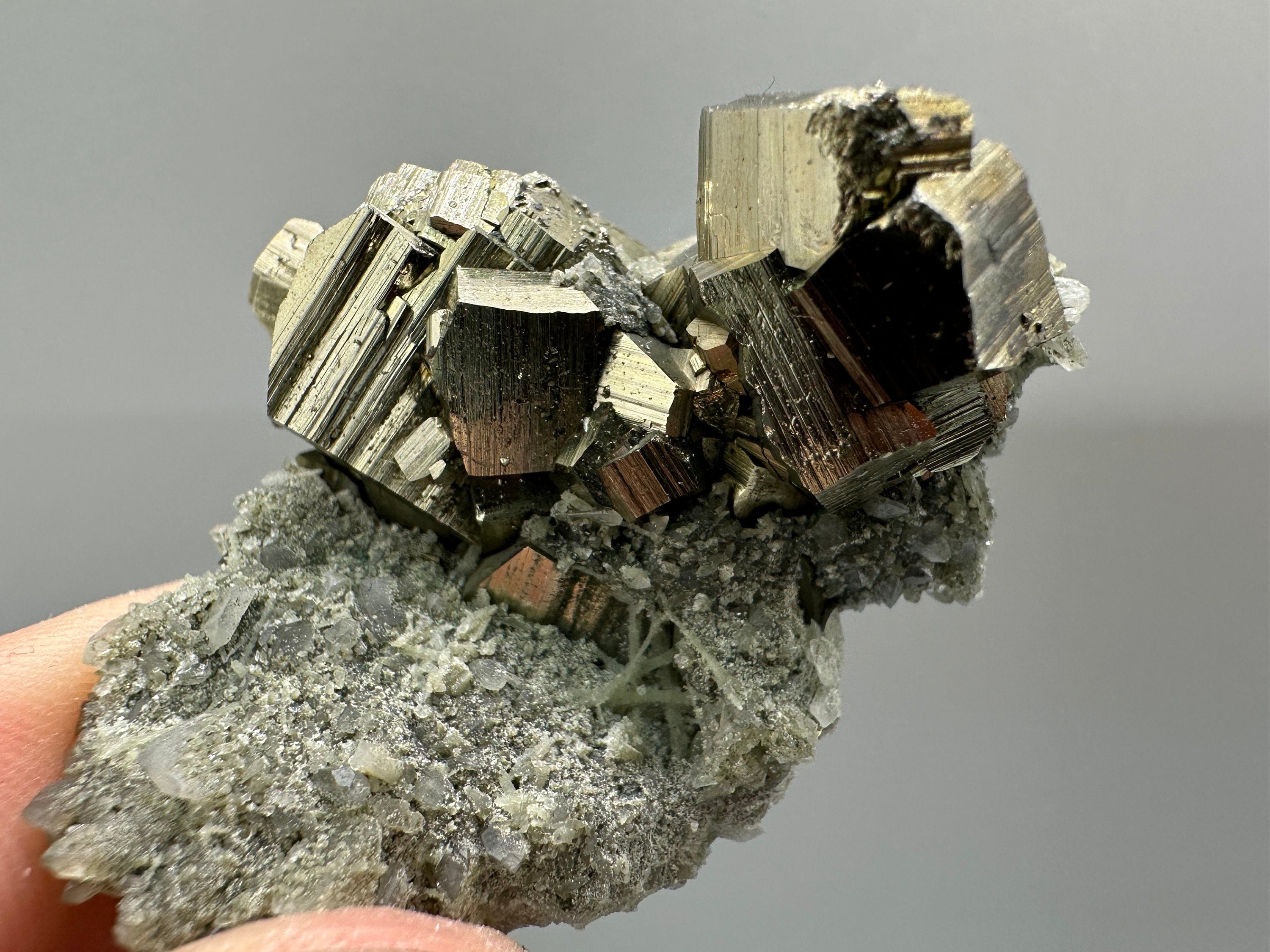 Golden Pyrite on Quartz with Chlorite - Borieva Mine Bulgaria
