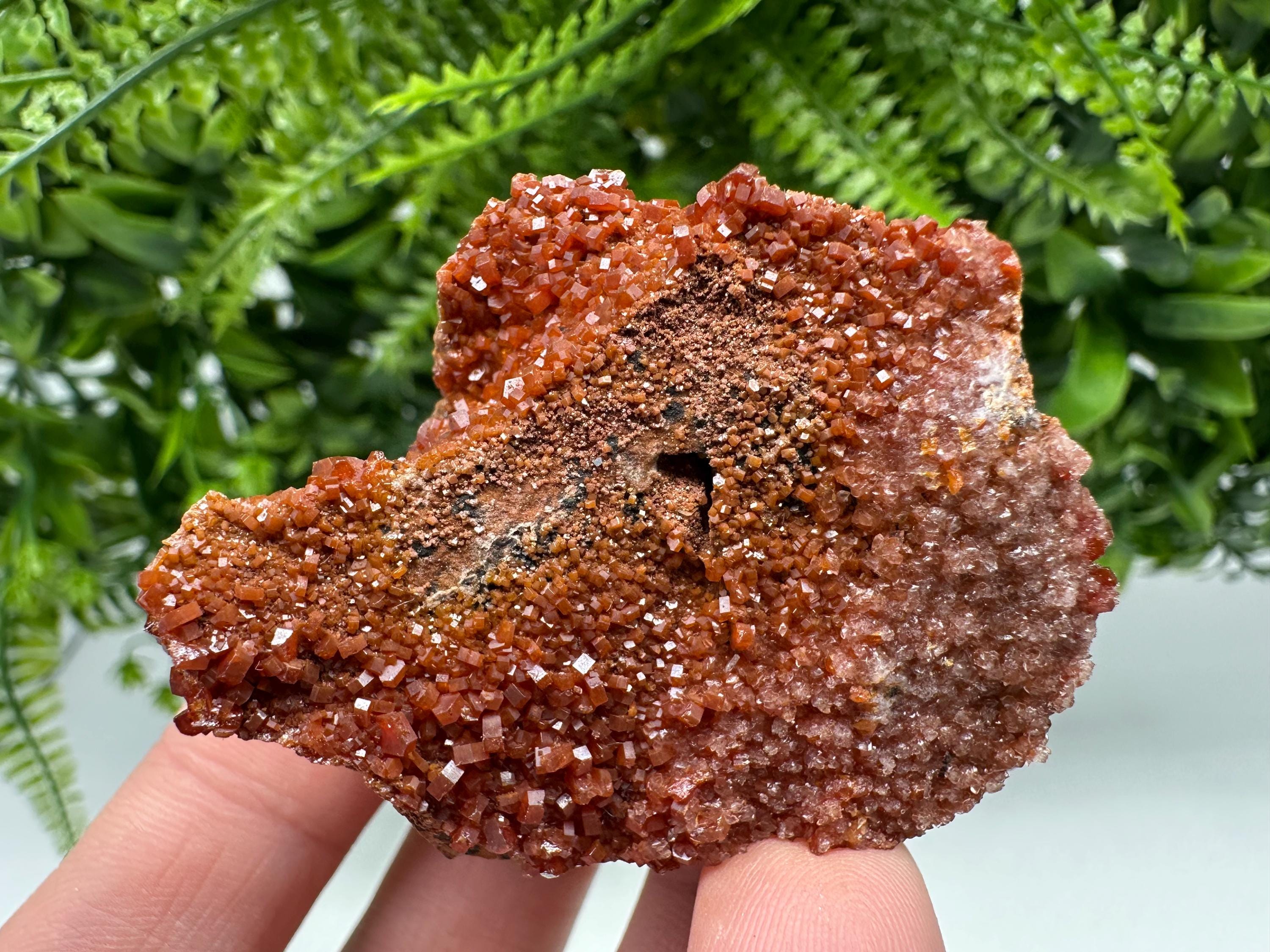 Red Vanadinite on Matrix from Marocco,crystal minerals Speciment cluster Vanadinite crystal Vanadinite Geology Vanadinite cluster minerals