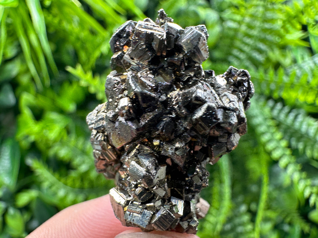 Pyrite Bornite Mineral Specimen: Borieva Mine, Bulgaria