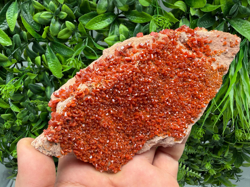 Red Vanadinite on Matrix from Marocco,crystal minerals Speciment cluster Vanadinite crystal Vanadinite Geology Vanadinite cluster minerals