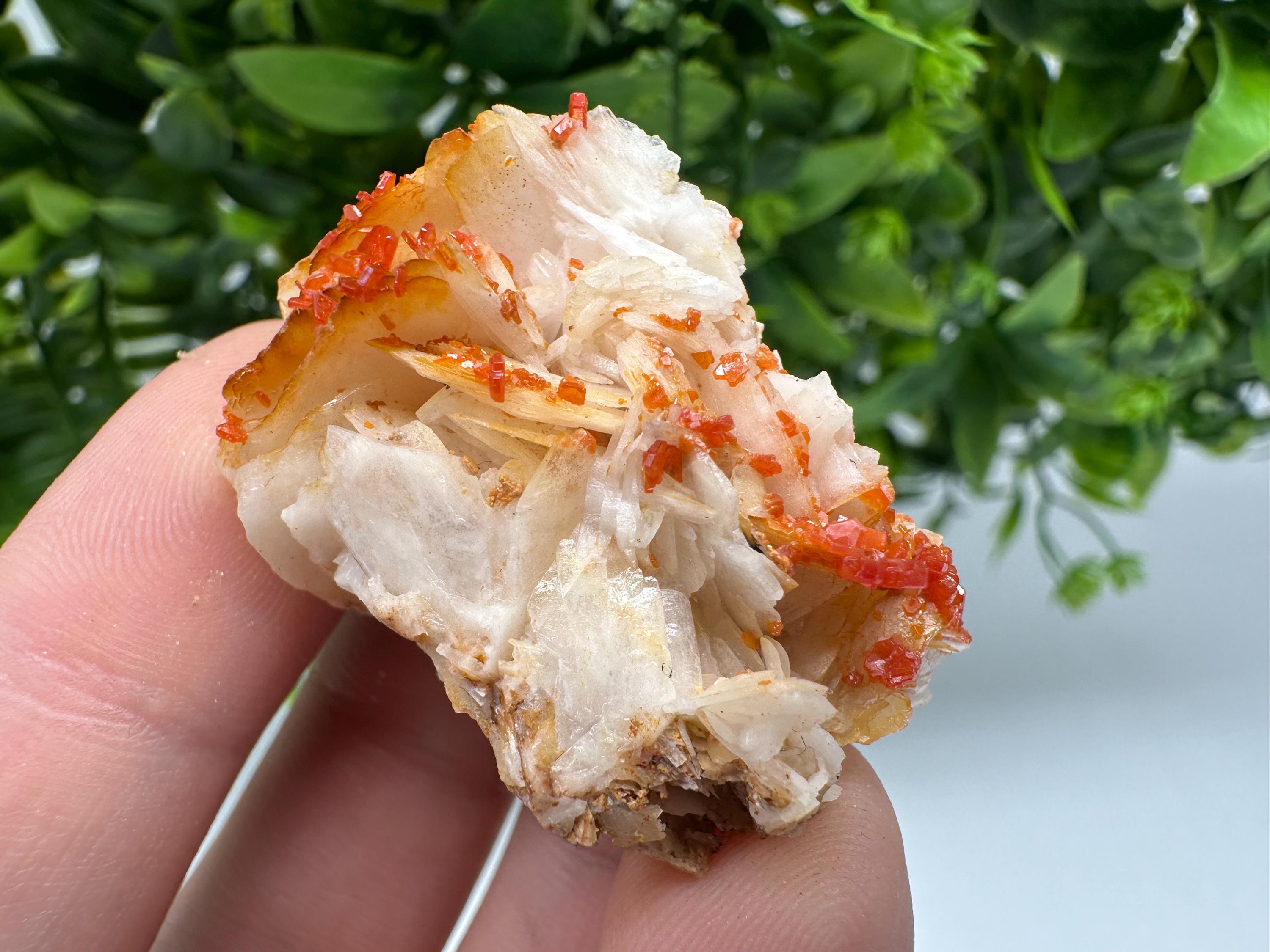 Red Vanadinite on Barite from Marocco,crystal minerals Speciment cluster Vanadinite crystal Vanadinite Geology Vanadinite cluster minerals