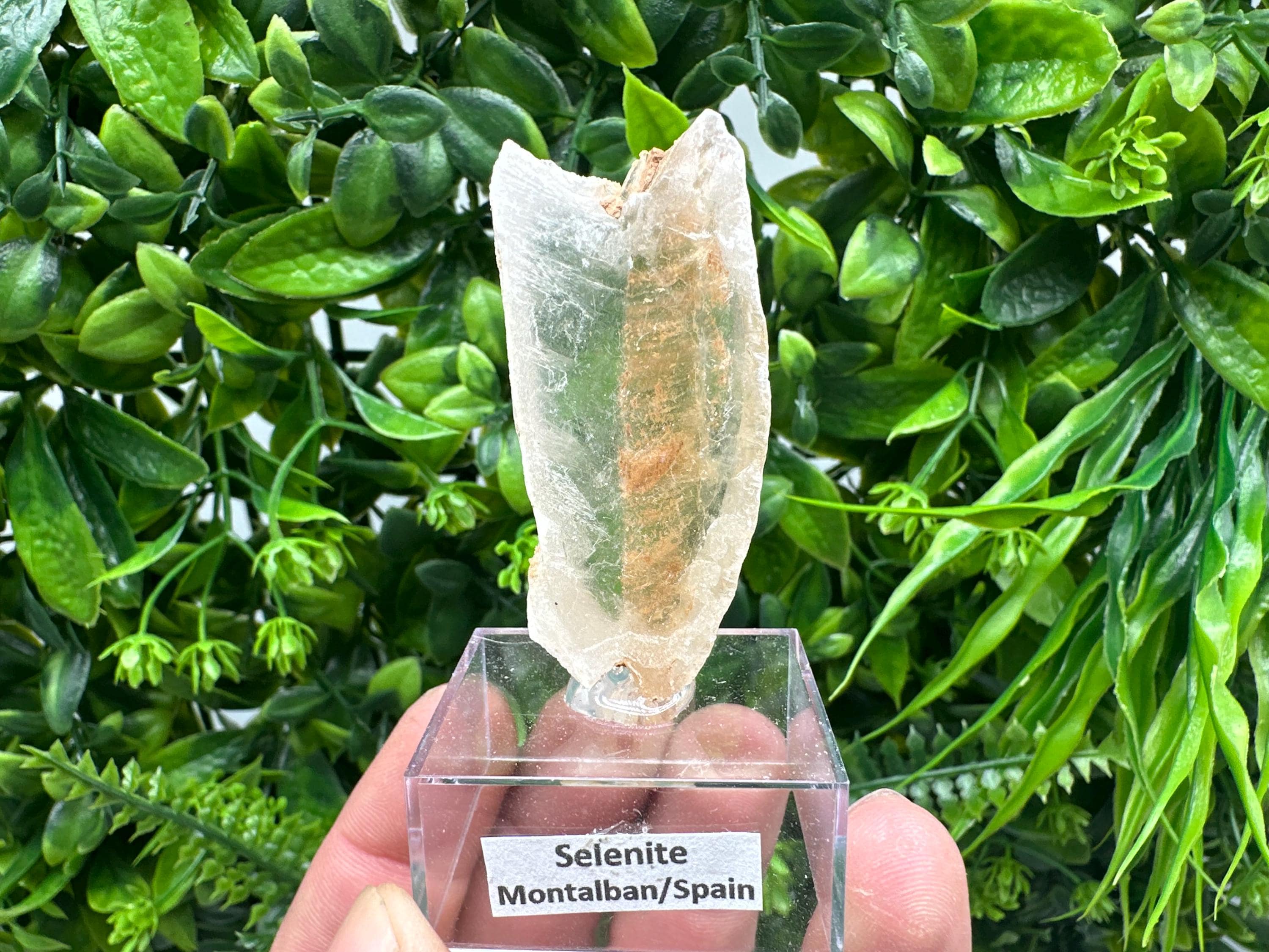 Raw Utah Golden Phantom Selenite Slab: Fishtail Selenite Wand