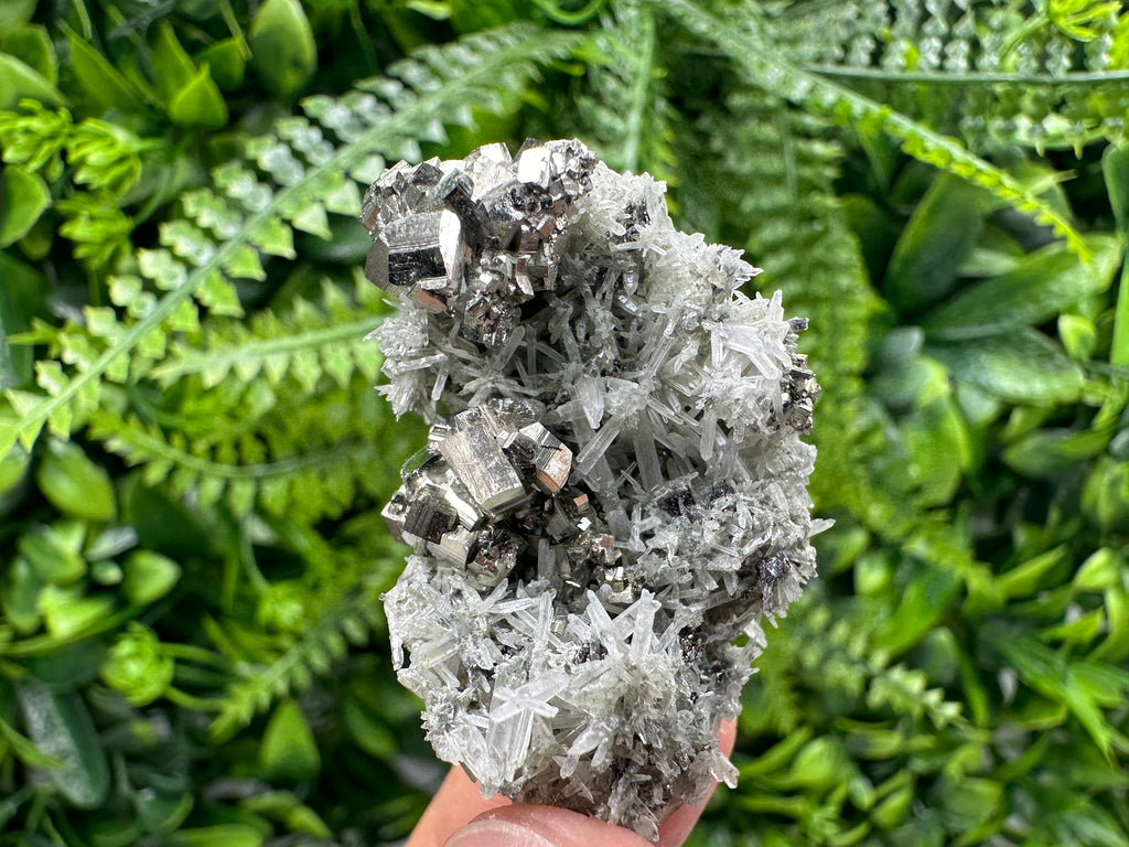 Pyrite on Green Quartz, Borieva Mine Mineral Specimen