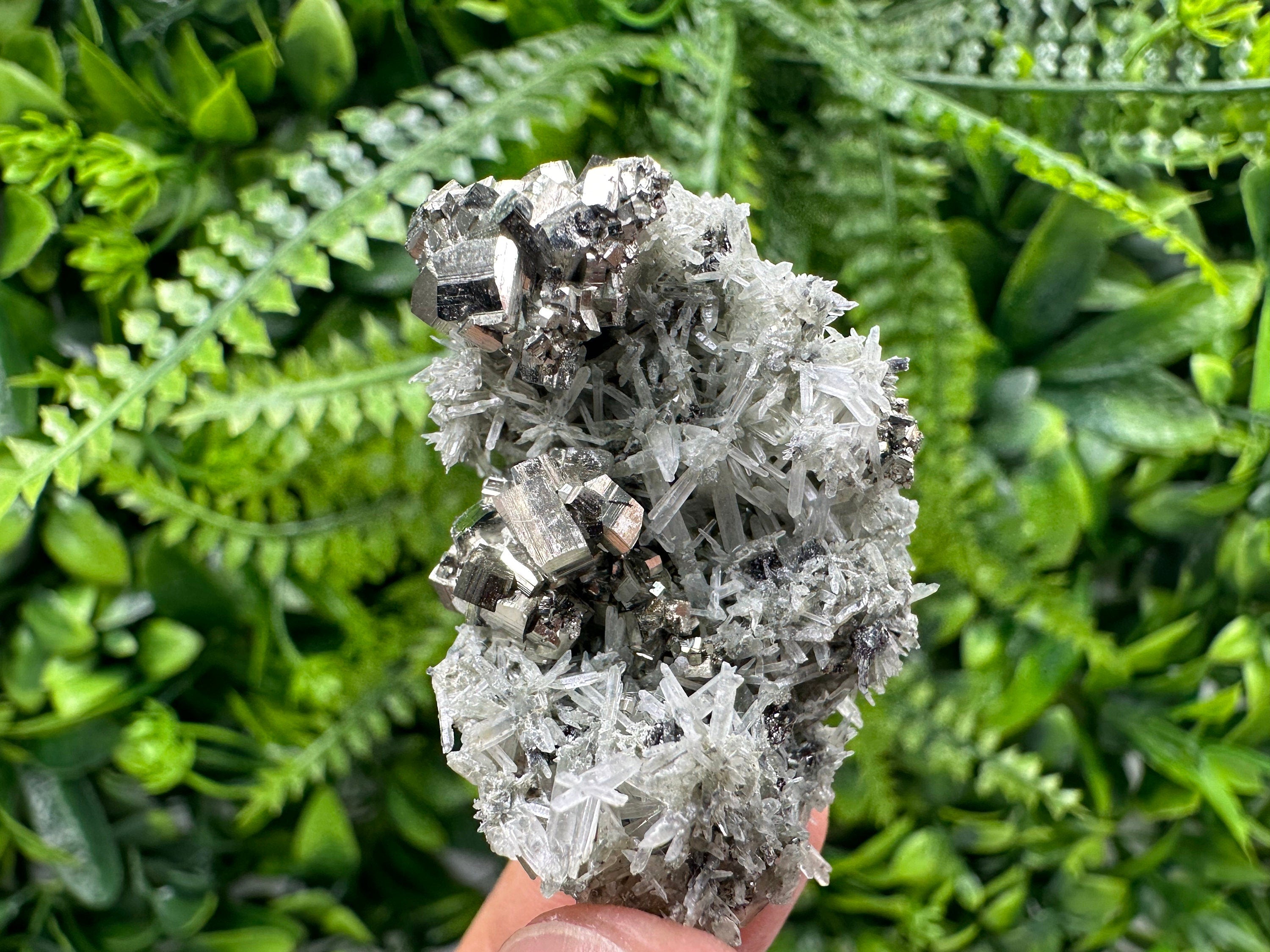 Pyrite on Green Quartz, Borieva Mine Mineral Specimen