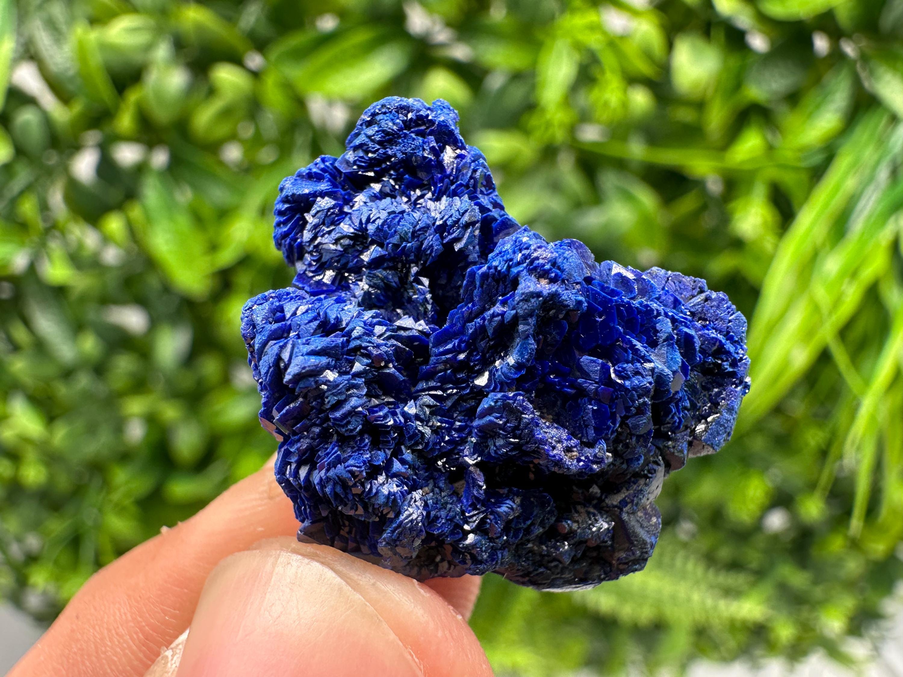 Crystallized Azurite-Kerrouchen,Morocco-Blue Azurite Specimen-High Quality Blue Azurite-Azurite Mineral Specimen, gemmy,lustrous of Azurite
