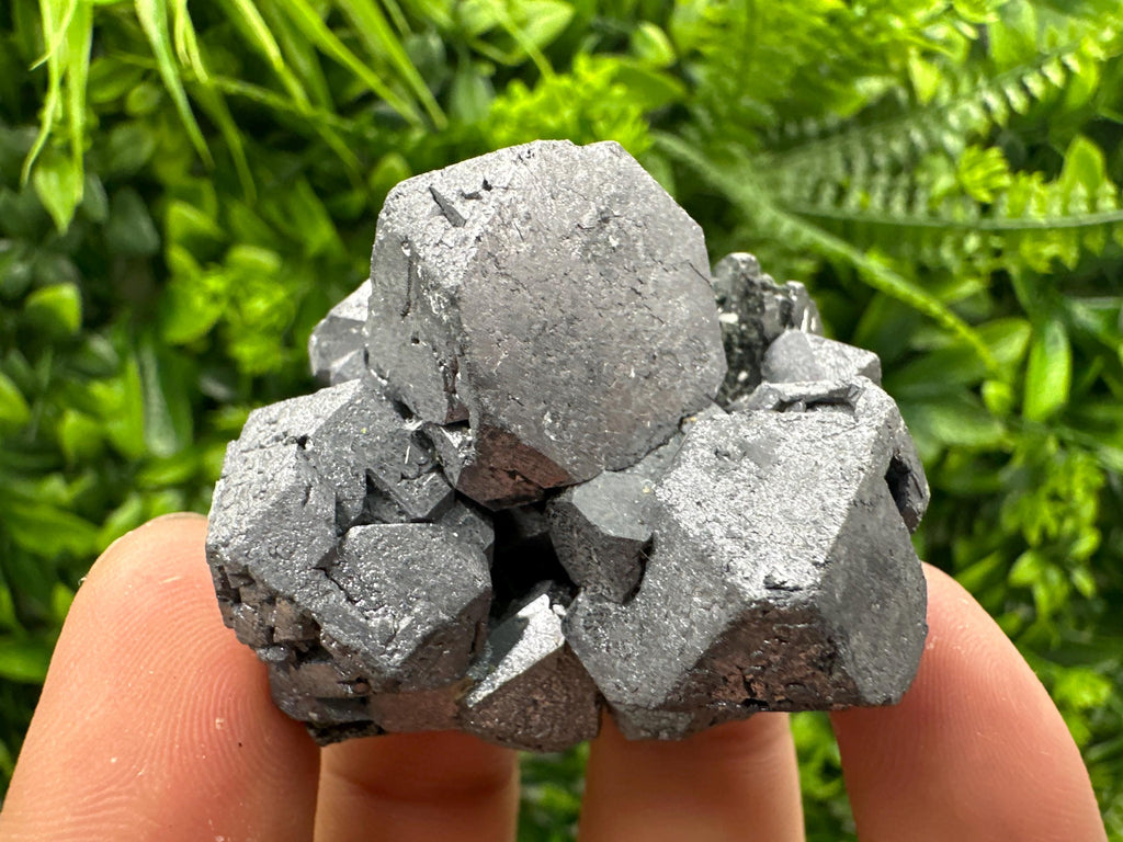 Galena with Sphalerite, Borieva Mine Mineral Specimen